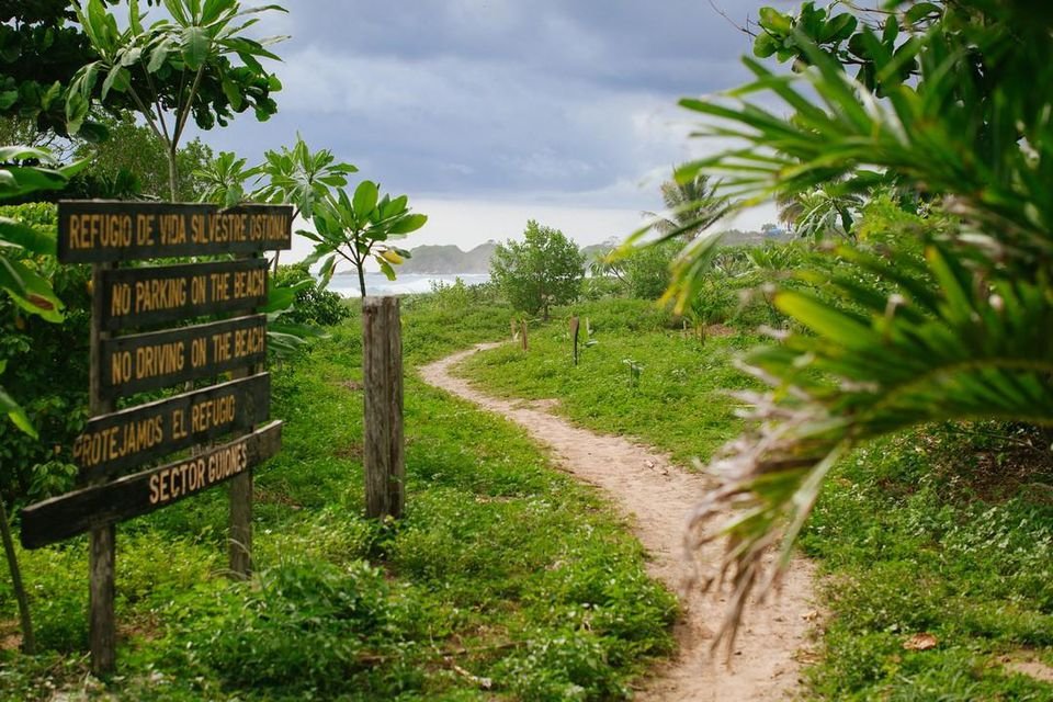 Olas-Verdes-Beach-Access